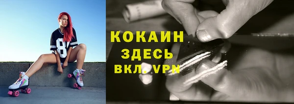 мяу мяу мука Щёлкино