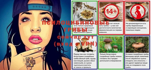 круглые Щучье